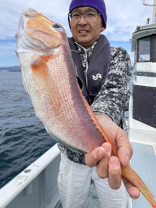 アマダイ(アカアマダイ)