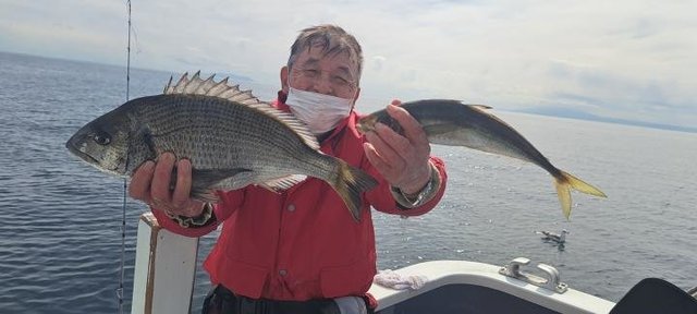 クロダイ・アジ(マアジ)