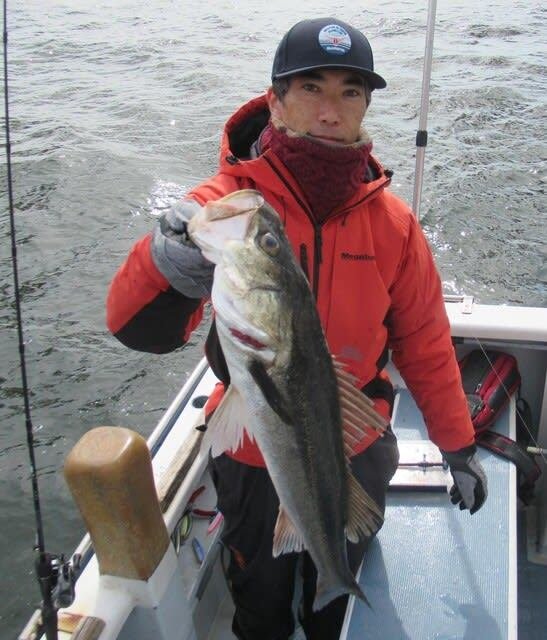 シーバス(スズキ)