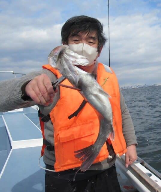 シーバス(スズキ)