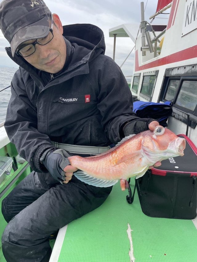 アマダイ(アカアマダイ)