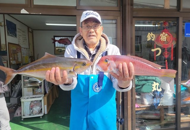 カンパチ・アマダイ(アカアマダイ)