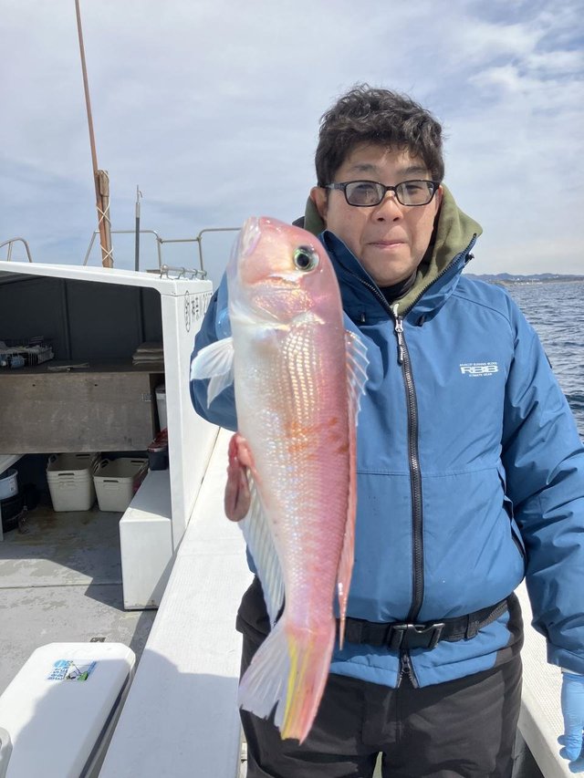 アマダイ(アカアマダイ)