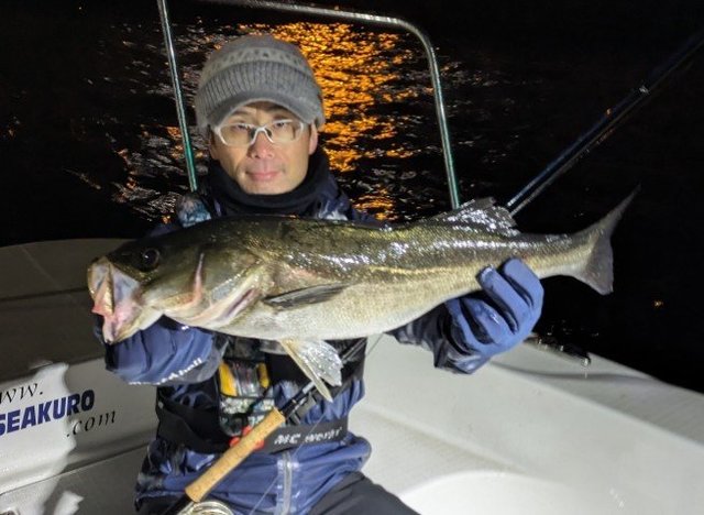 シーバス(スズキ)