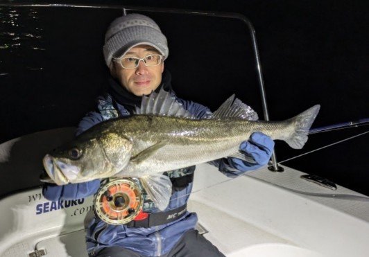 シーバス(スズキ)