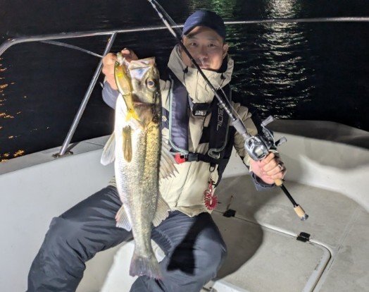 シーバス(スズキ)