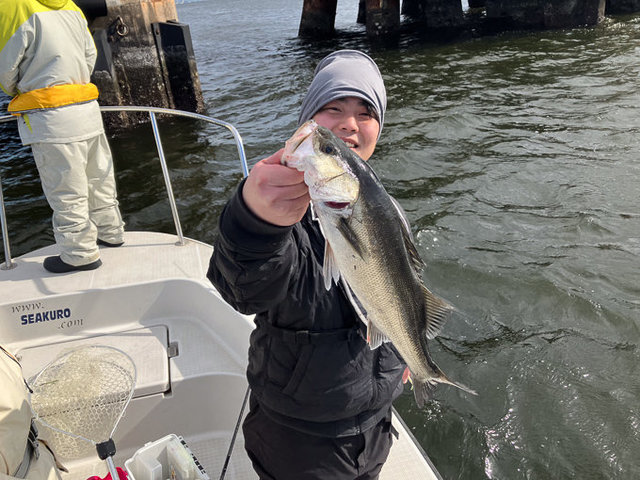 シーバス(スズキ)