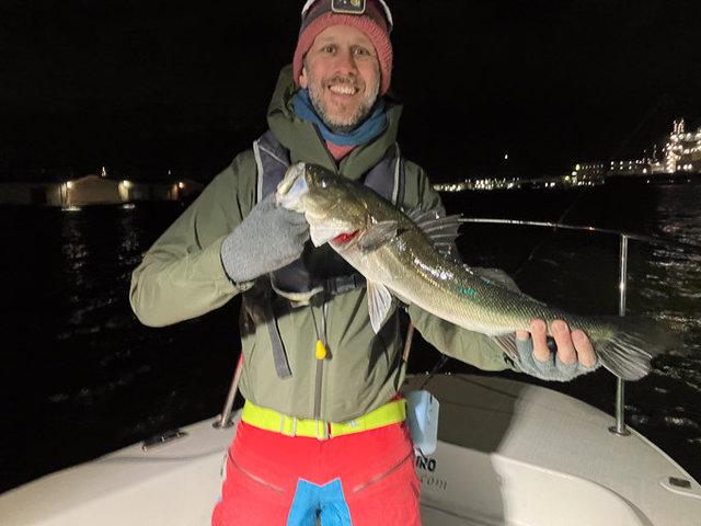 シーバス(スズキ)