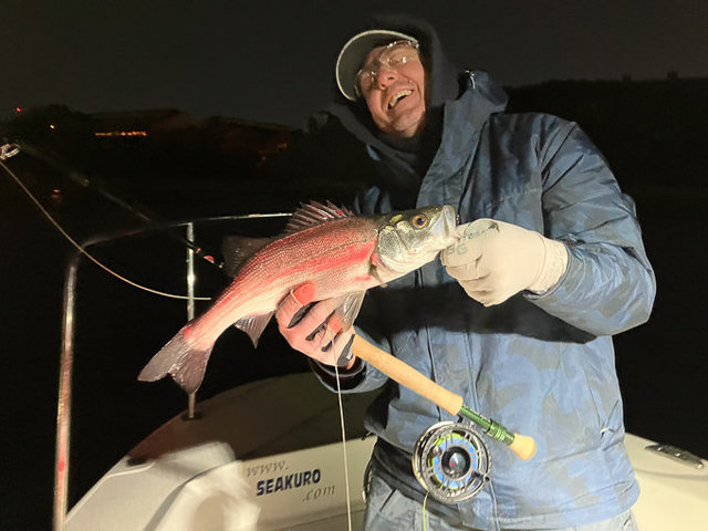 シーバス(スズキ)