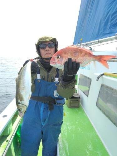 マダイ・アジ(マアジ)