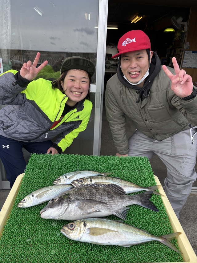 クロダイ・アジ(マアジ)