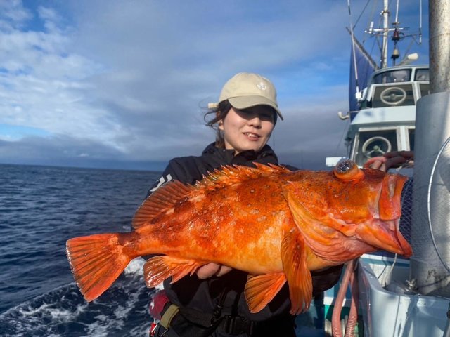 カンコ(ウッカリカサゴ)