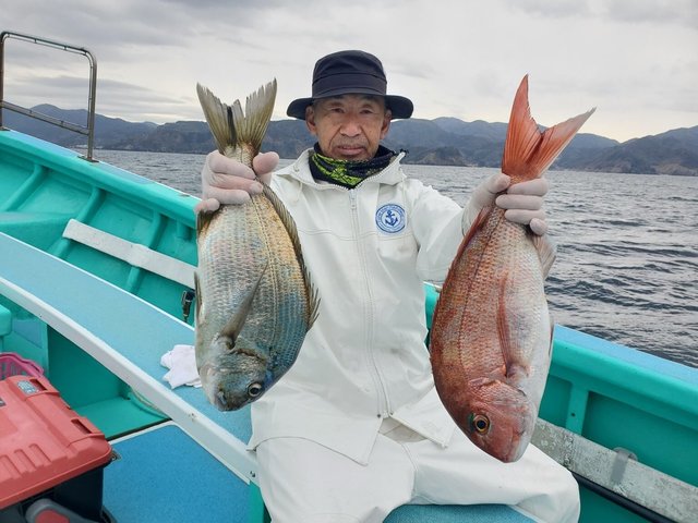 マダイ・ヘダイ