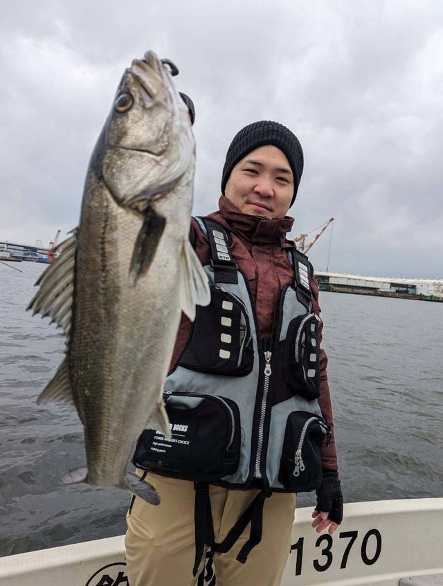 シーバス(スズキ)