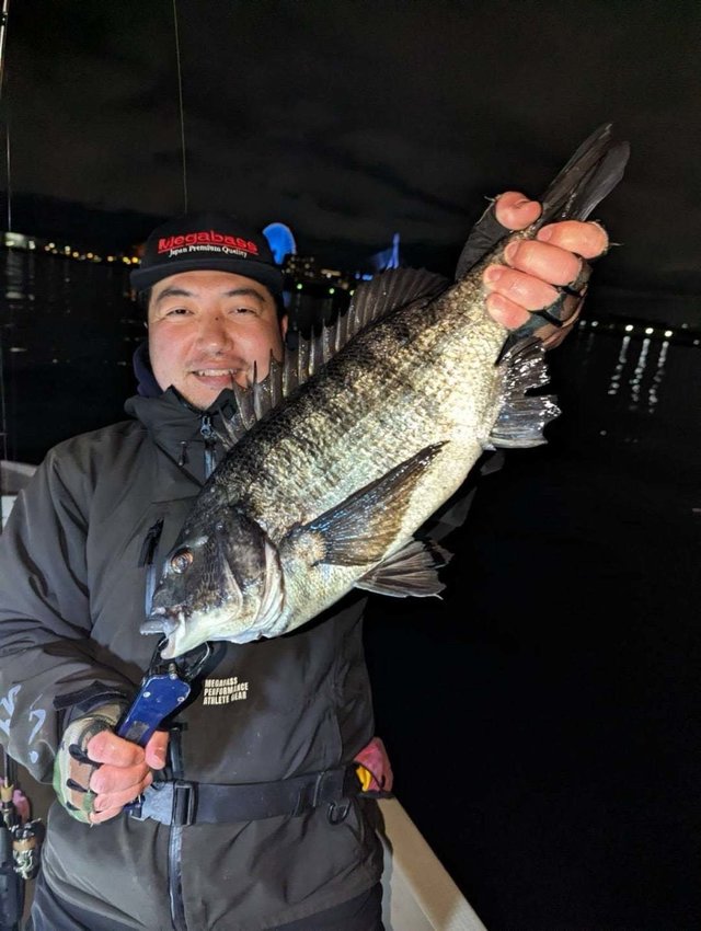 マチヌ(クロダイ)