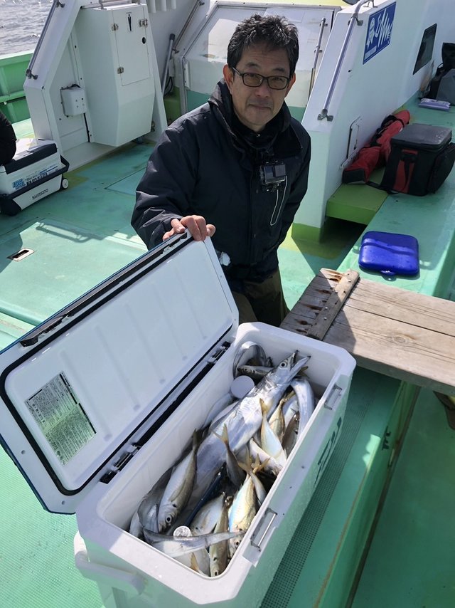 アジ(マアジ)・タチウオ