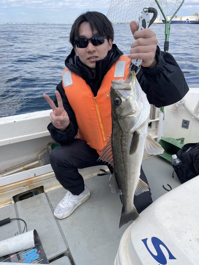 シーバス(スズキ)