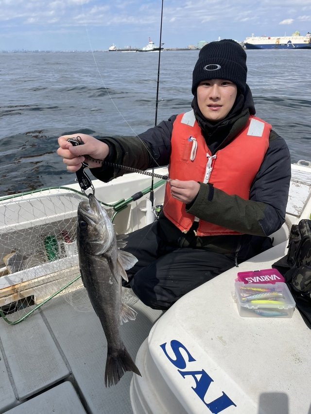 シーバス(スズキ)