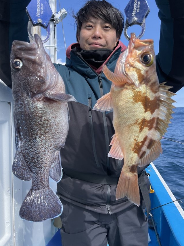 メバル・マゾイ(キツネメバル)