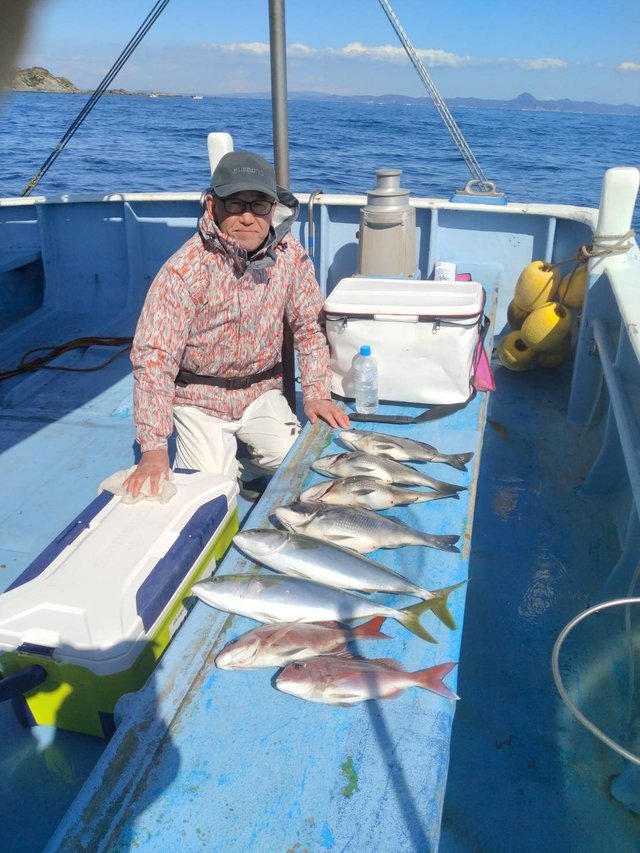 マダイ・クロダイ・イナダ(ブリ)