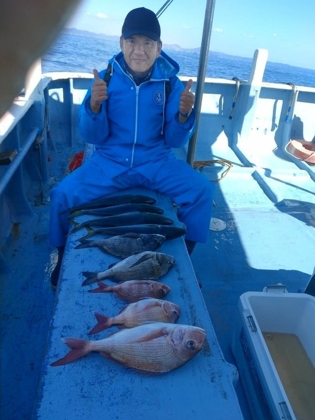 マダイ・クロダイ・イナダ(ブリ)