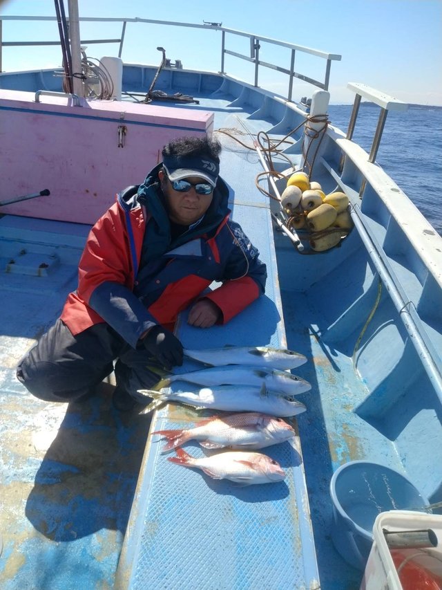 マダイ・イナダ(ブリ)