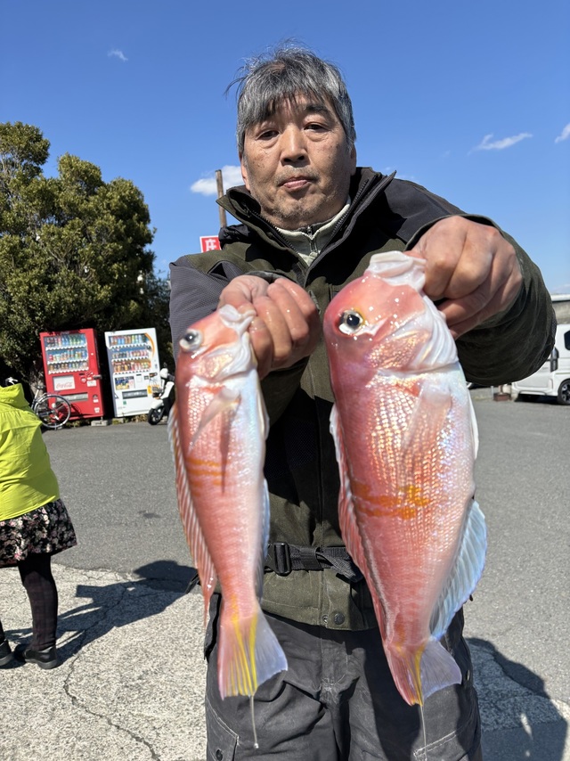 アマダイ(アカアマダイ)