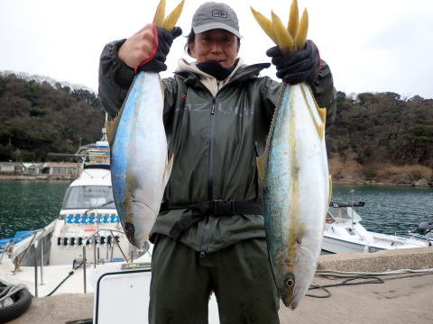 ブリ・ヒラマサ