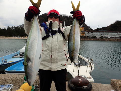 ブリ・ヒラマサ