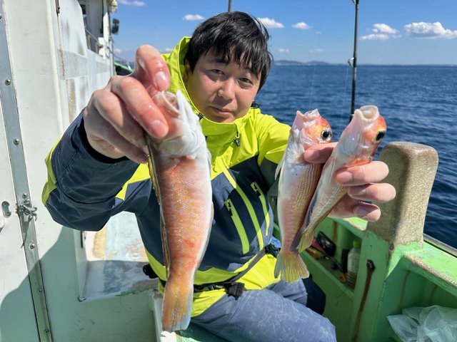 アマダイ(アカアマダイ)