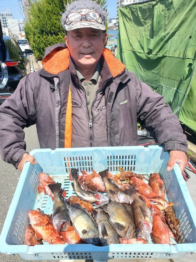 ガシラ(カサゴ)・メバル