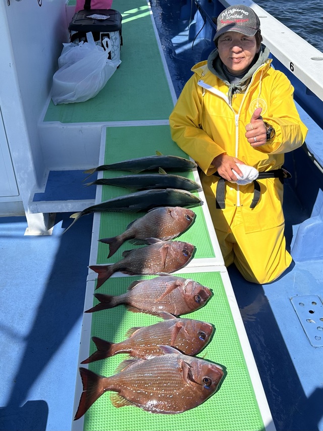 マダイ・イナダ(ブリ)