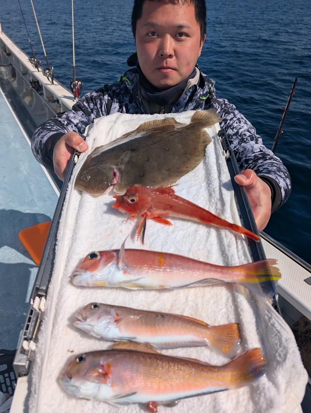 アマダイ(アカアマダイ)