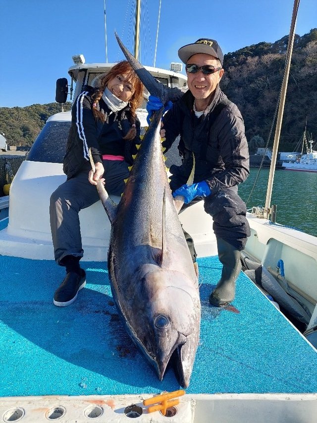 キハダマグロ(キハダ)