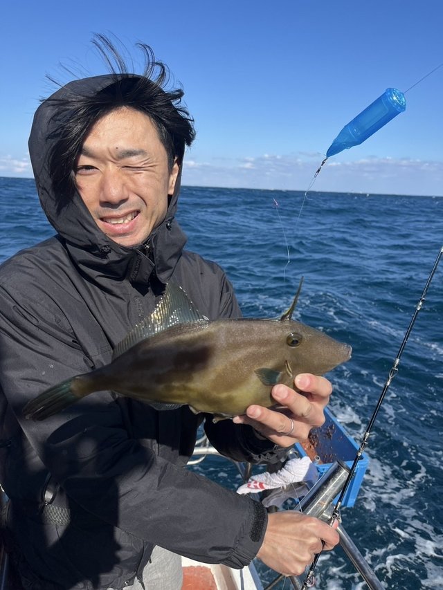 ウマズラハギ(ウマヅラハギ)