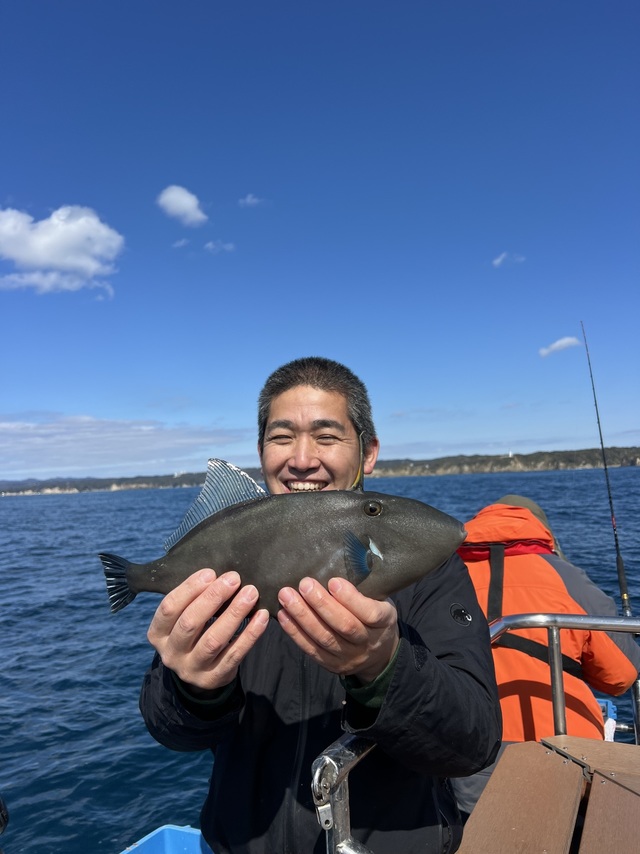 ウマズラハギ(ウマヅラハギ)