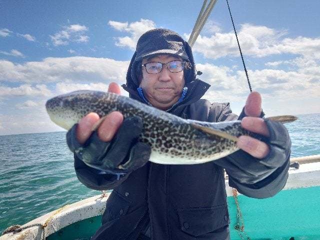 ショウサイフグ