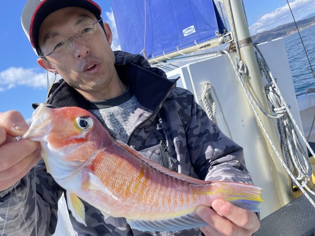 アマダイ(アカアマダイ)