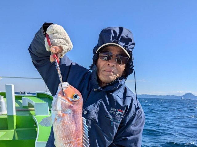 アマダイ(アカアマダイ)