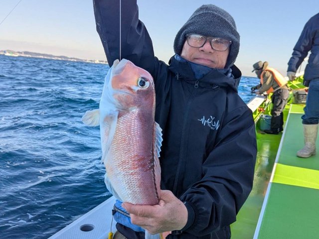 アマダイ(アカアマダイ)