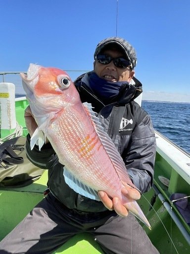 アマダイ(アカアマダイ)