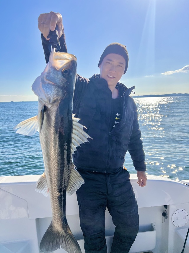 シーバス(スズキ)