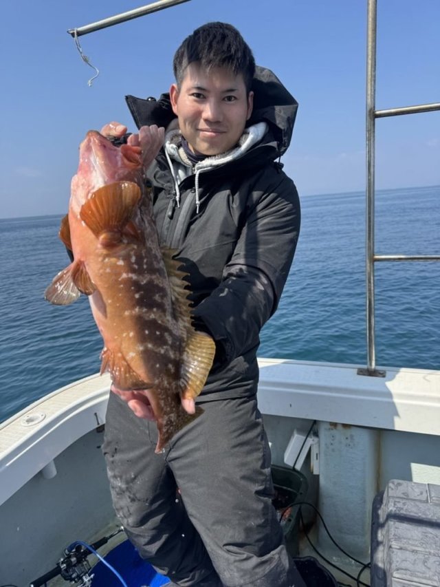 アコウ(キジハタ)