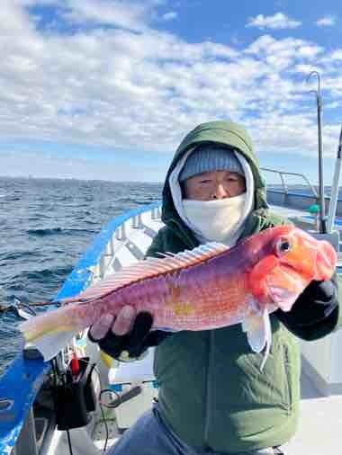 アマダイ(アカアマダイ)