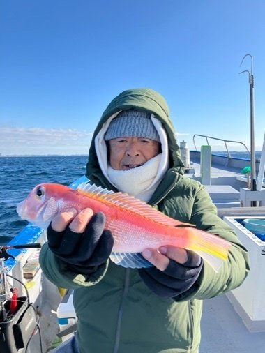 アマダイ(アカアマダイ)