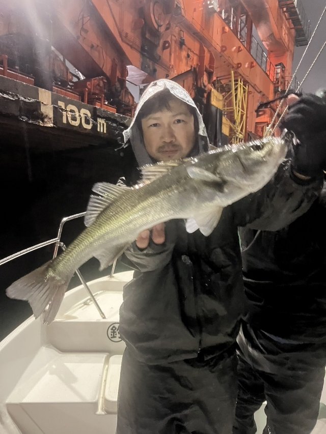 シーバス(スズキ)