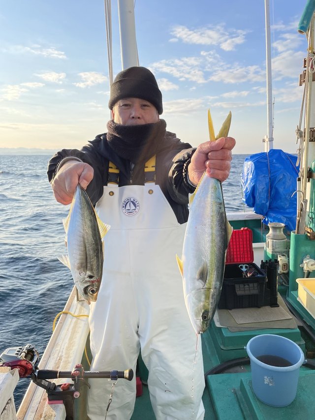 アジ(マアジ)・ハマチ(ブリ)