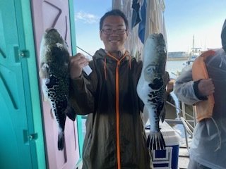 トラフク(トラフグ)