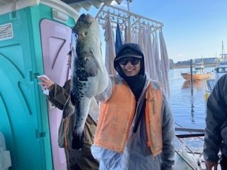 トラフク(トラフグ)