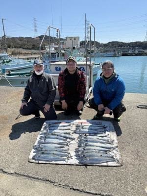 サゴシ(サワラ)